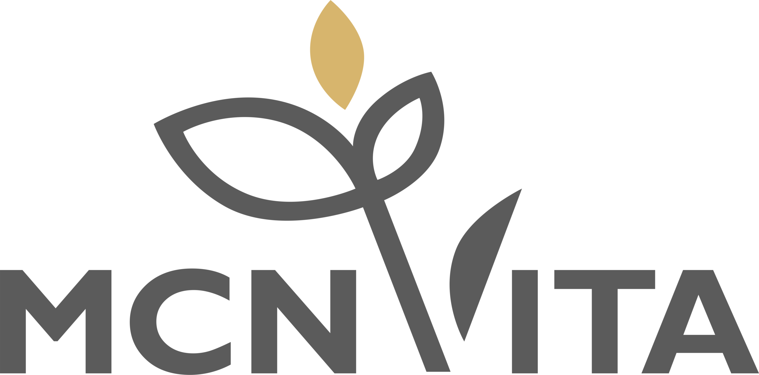 MCNVITA Logo